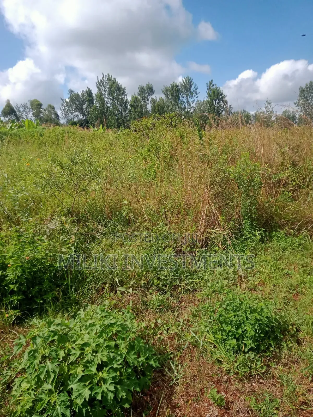 3.25 Acres on Sale at Maragua