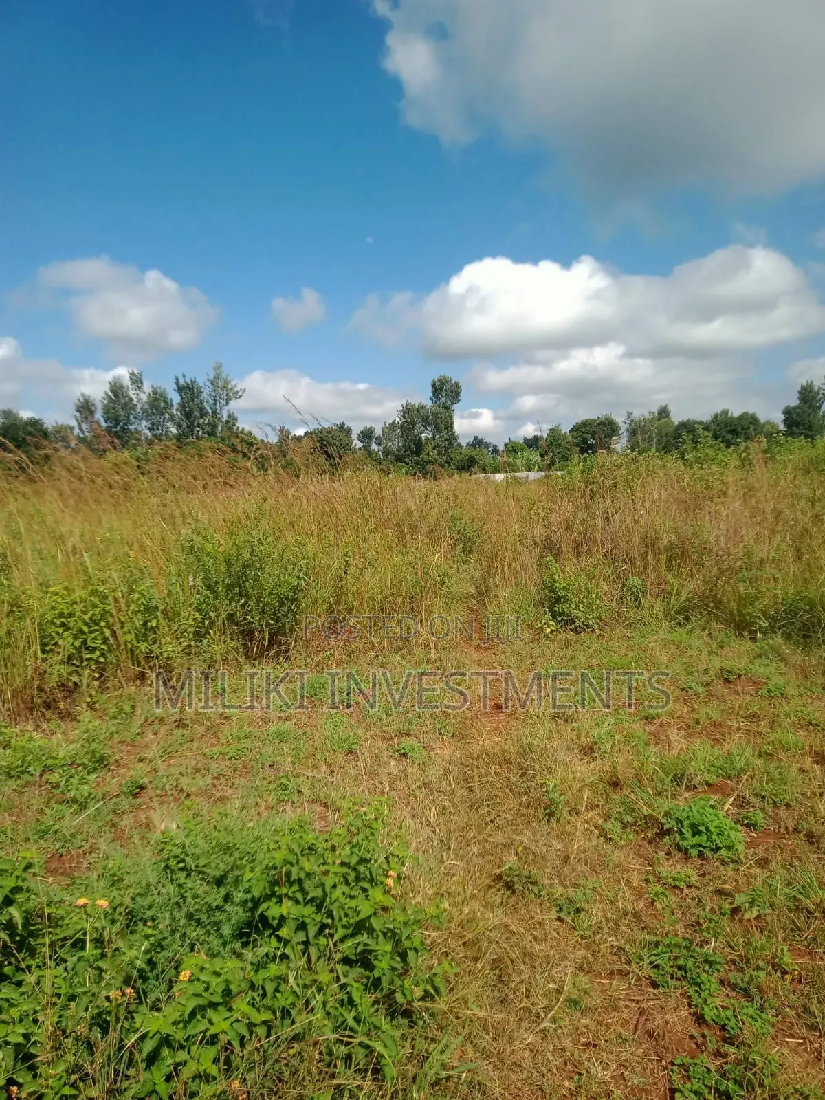 3.25 Acres on Sale at Maragua