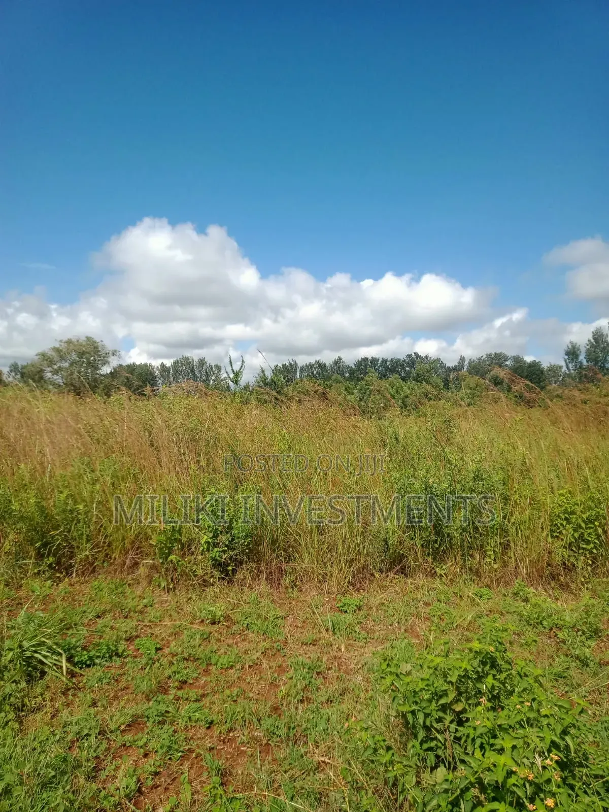 3.25 Acres on Sale at Maragua