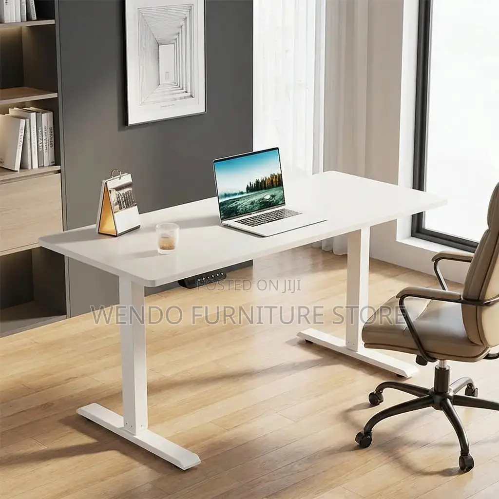 Office Desk 1.2m Modern Electric Standing Desk
