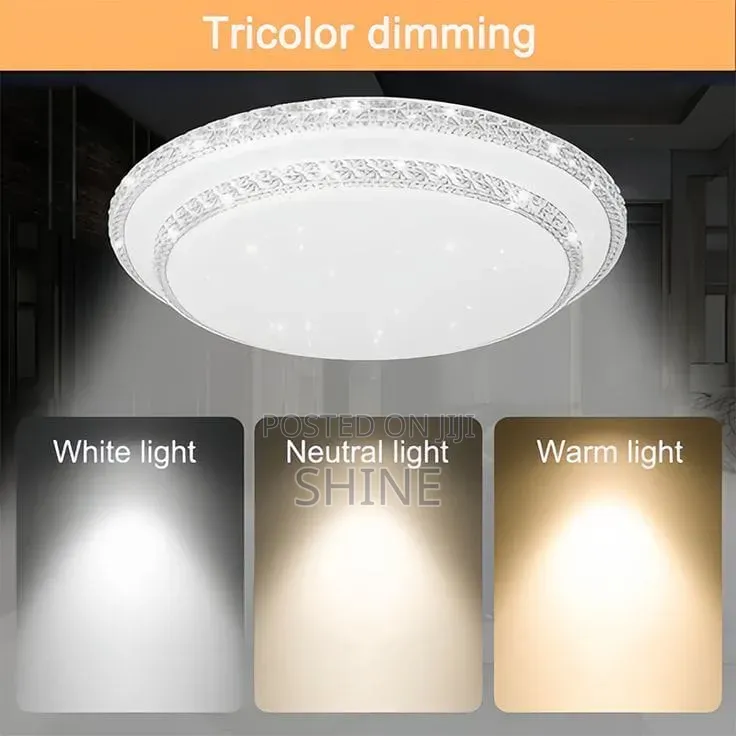 Modern Double Round Ceiling Light