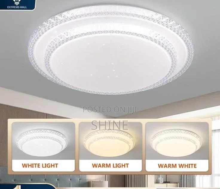 Modern Double Round Ceiling Light