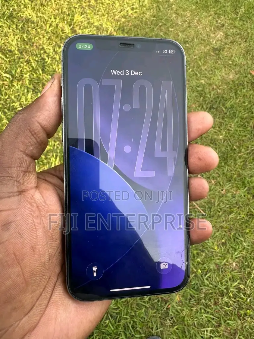 Apple iPhone 12 Pro 256 GB Gray
