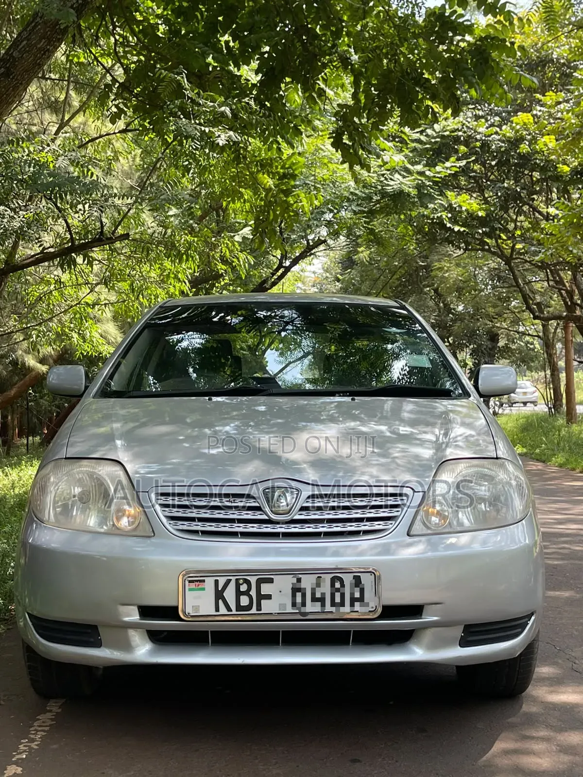 Toyota Allex 2003 Silver