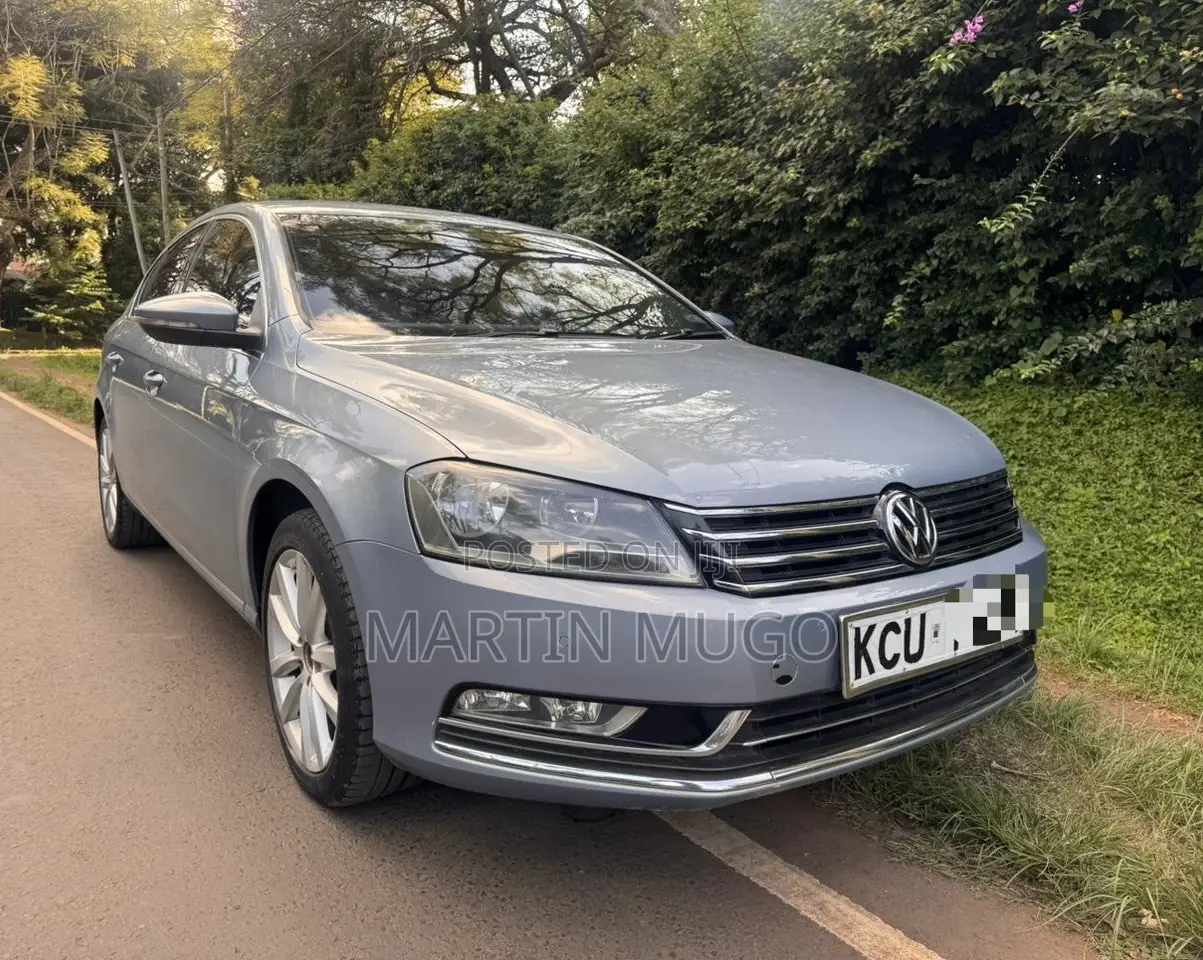 Volkswagen Passat SE 2013 Blue
