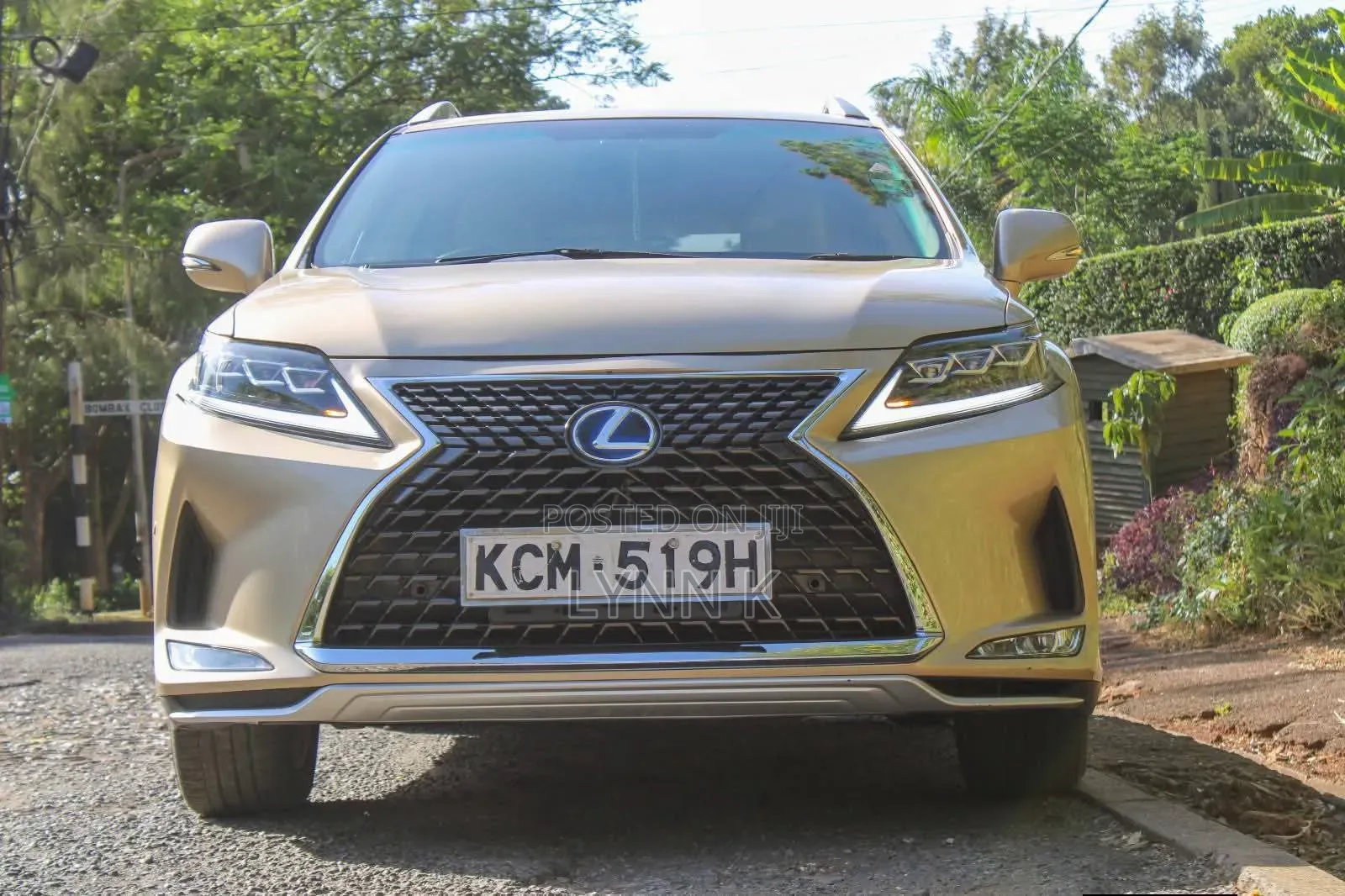 Lexus RX 2010 Gold