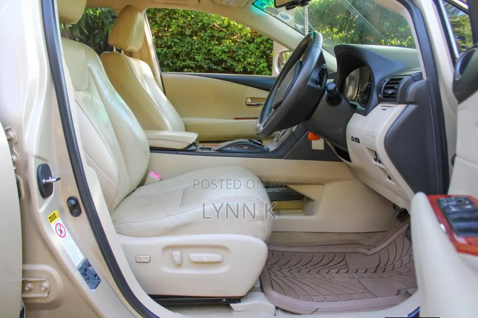 Lexus RX 2010 Gold