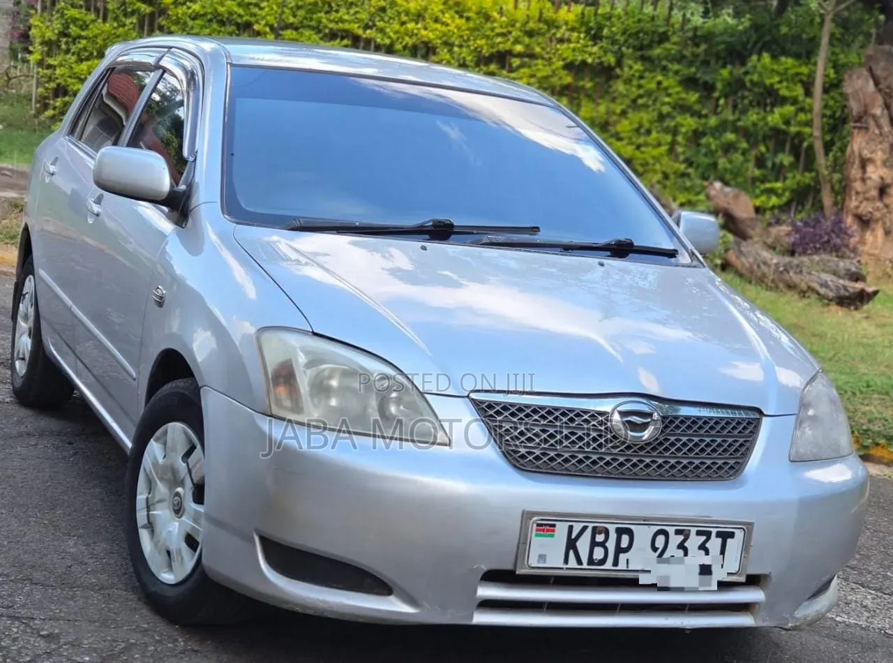 Toyota Corolla RunX 2006 Silver
