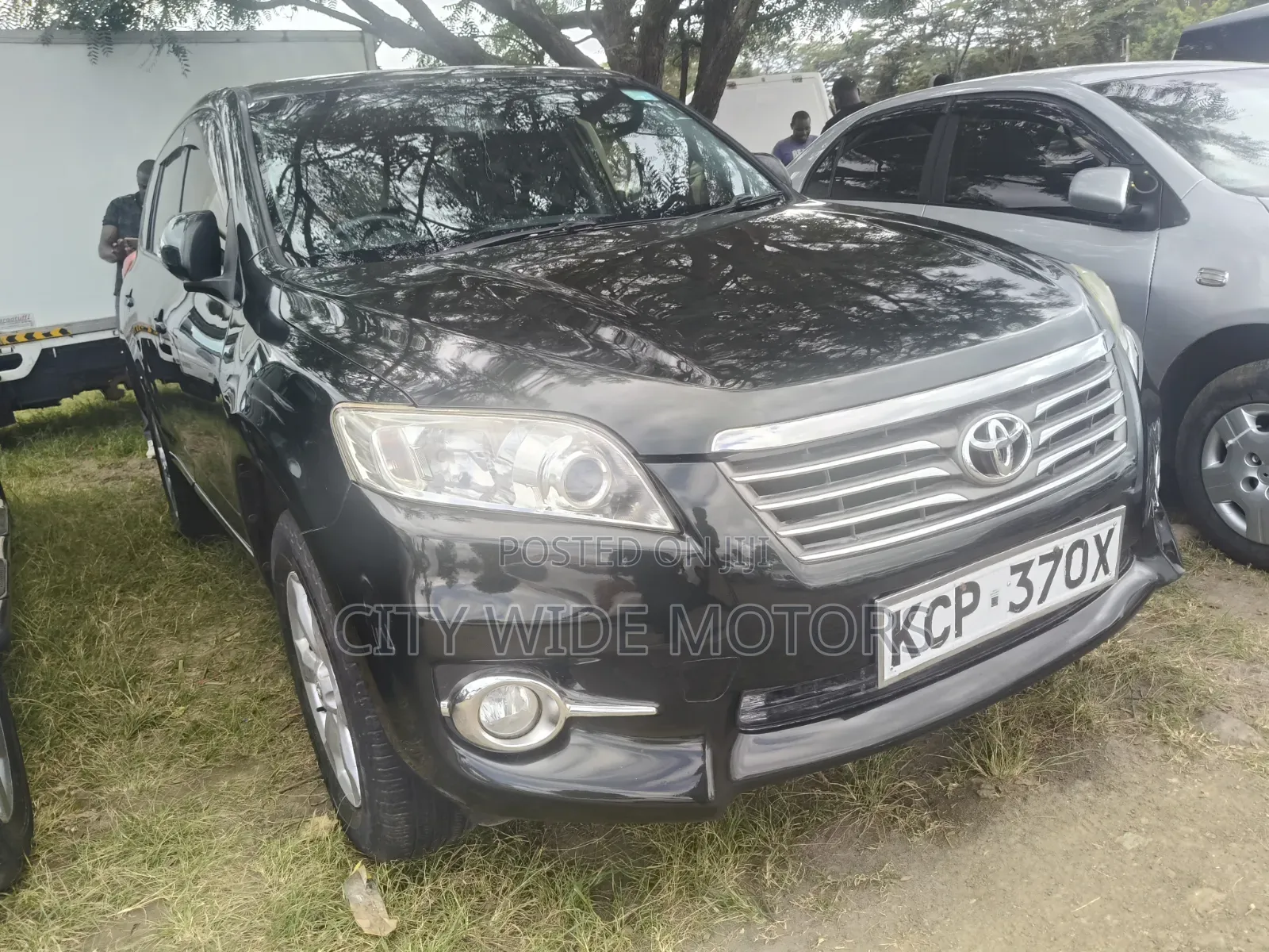 Toyota Vanguard 2010 Green