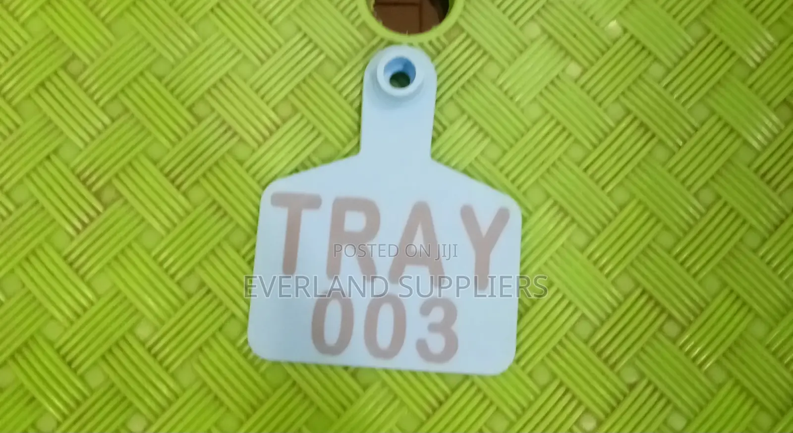 Branded Medium Cows Identification Tags