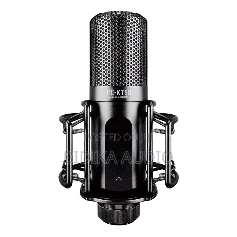 Takstar Pc- Professional Recording Microphone