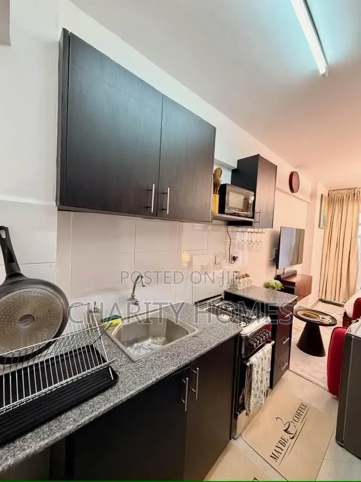 Ngara Furnished Studio Thika Road