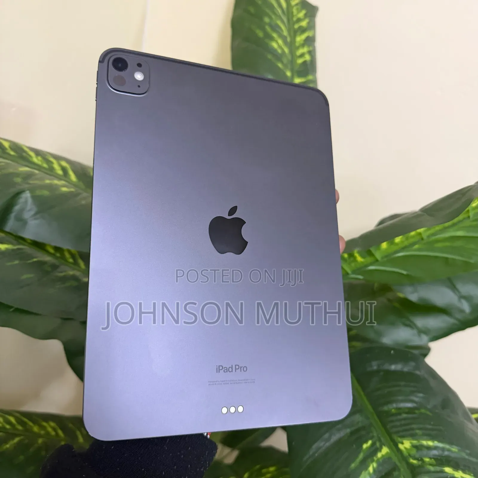 Apple iPad Pro 11 (2024) 256 GB Gray