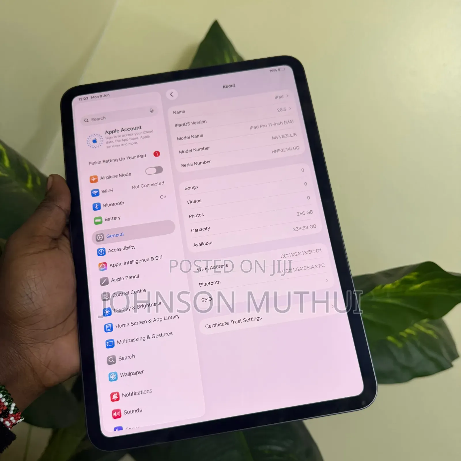 Apple iPad Pro 11 (2024) 256 GB Gray