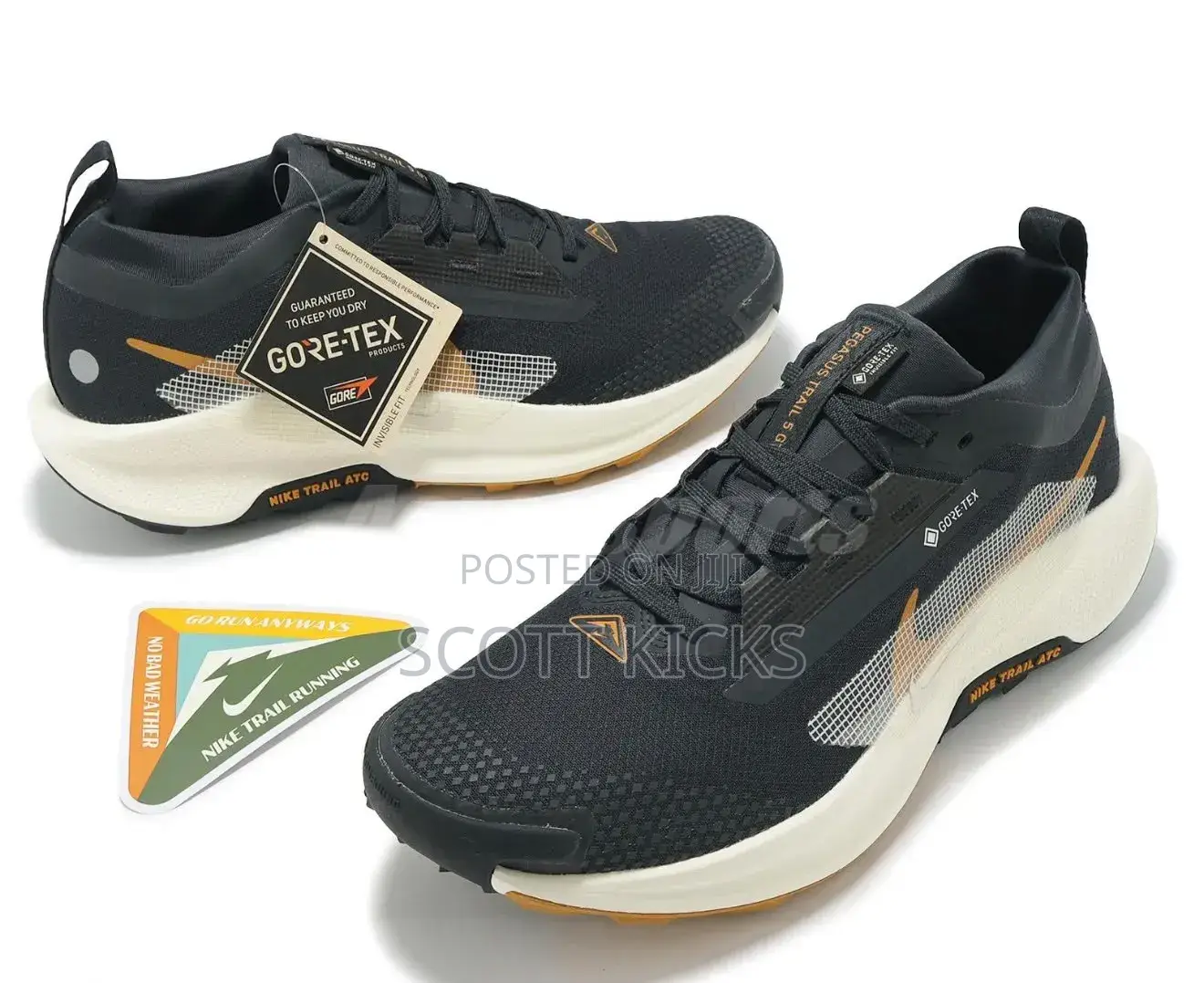 Nike Pegasus Trail 5 Goretex