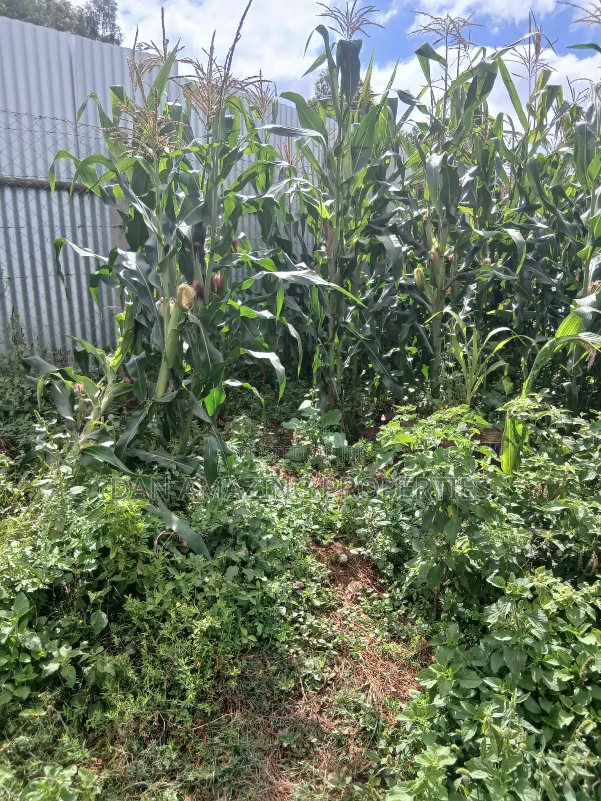 3/4 Acre for Sale in Kerarapon Drive Ideal F Residential Pure Red Soil