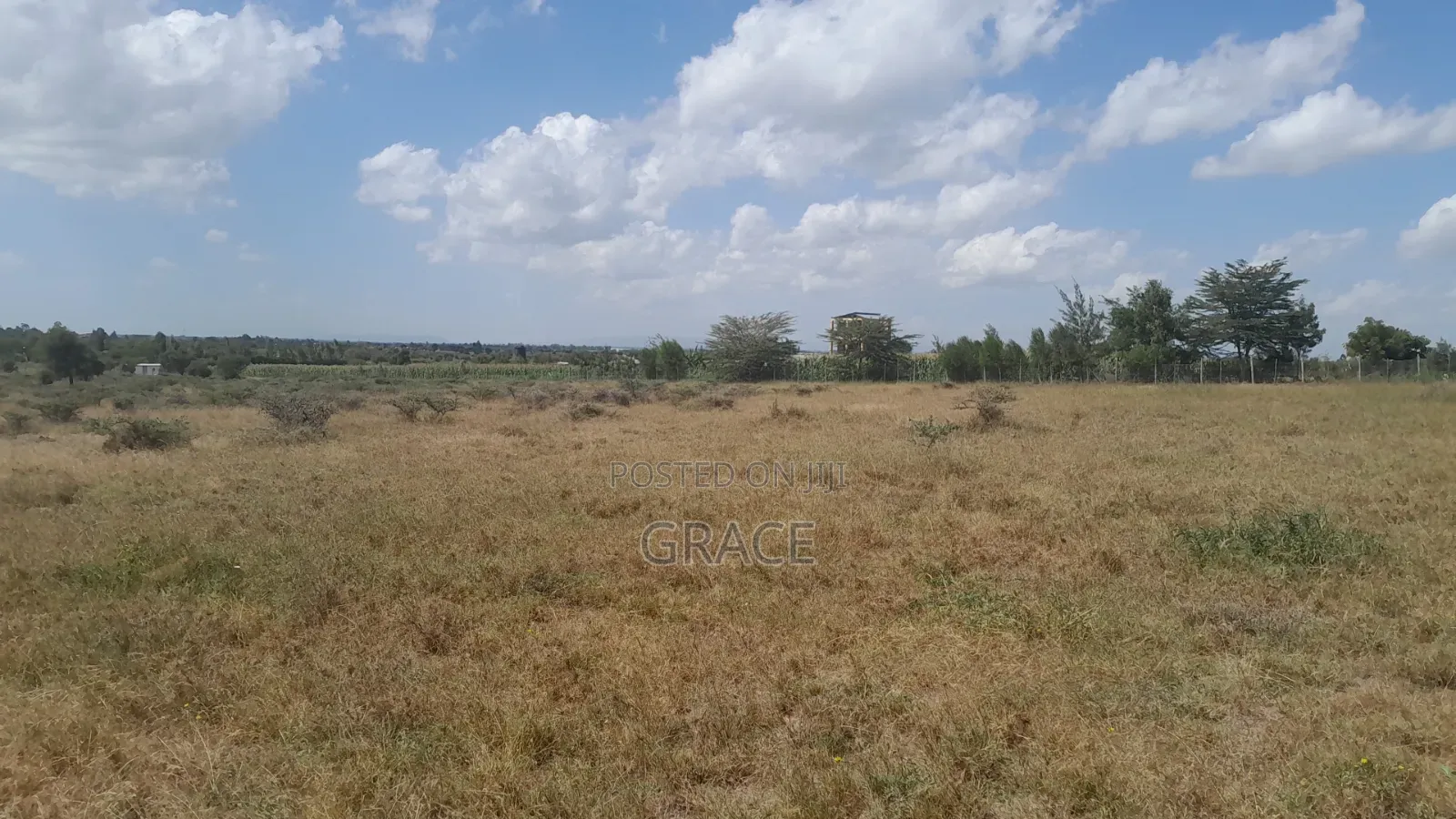 Prime Plots in Diaspora Gardens in Isinya
