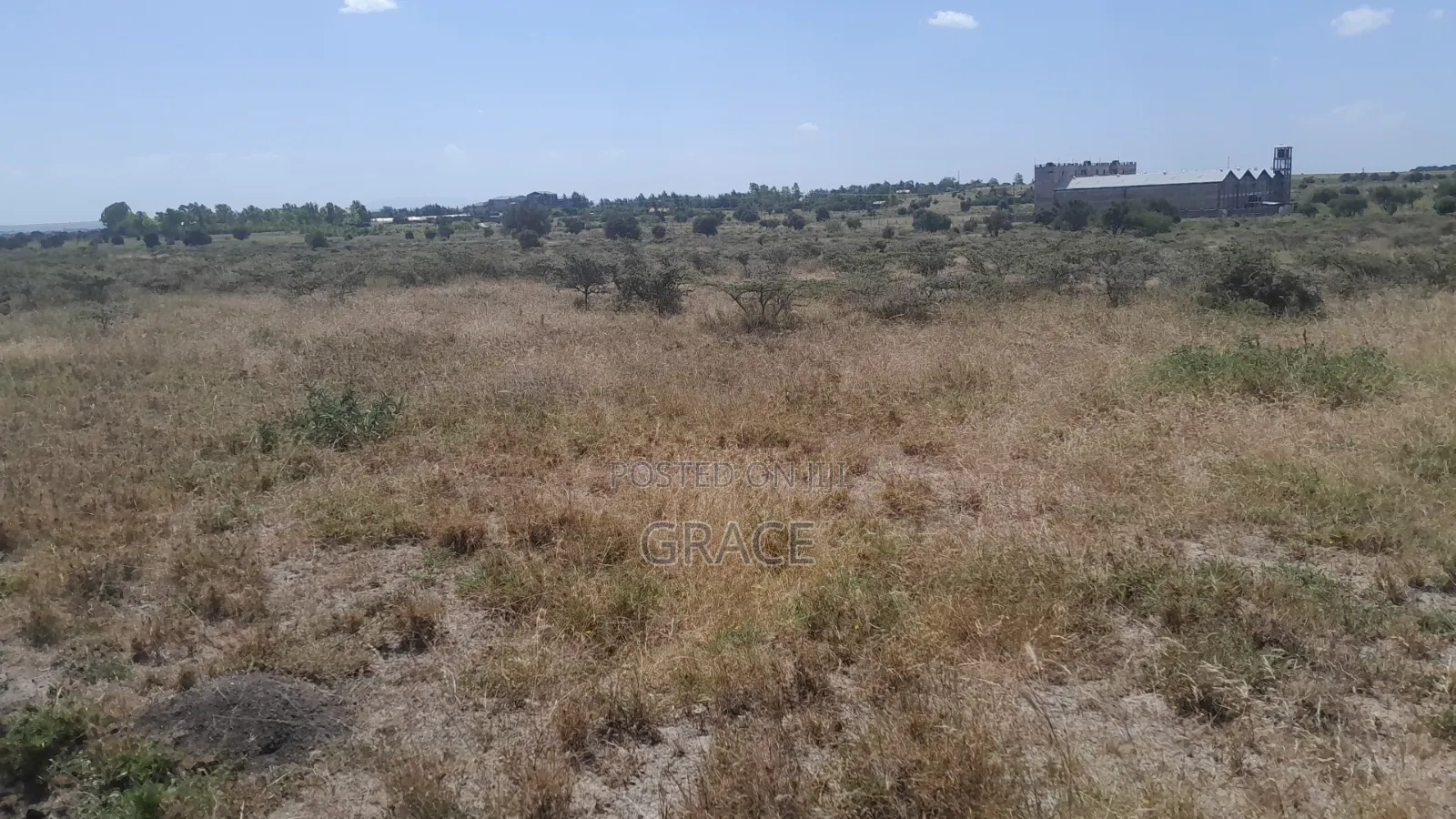 Prime Plots in Diaspora Gardens in Isinya