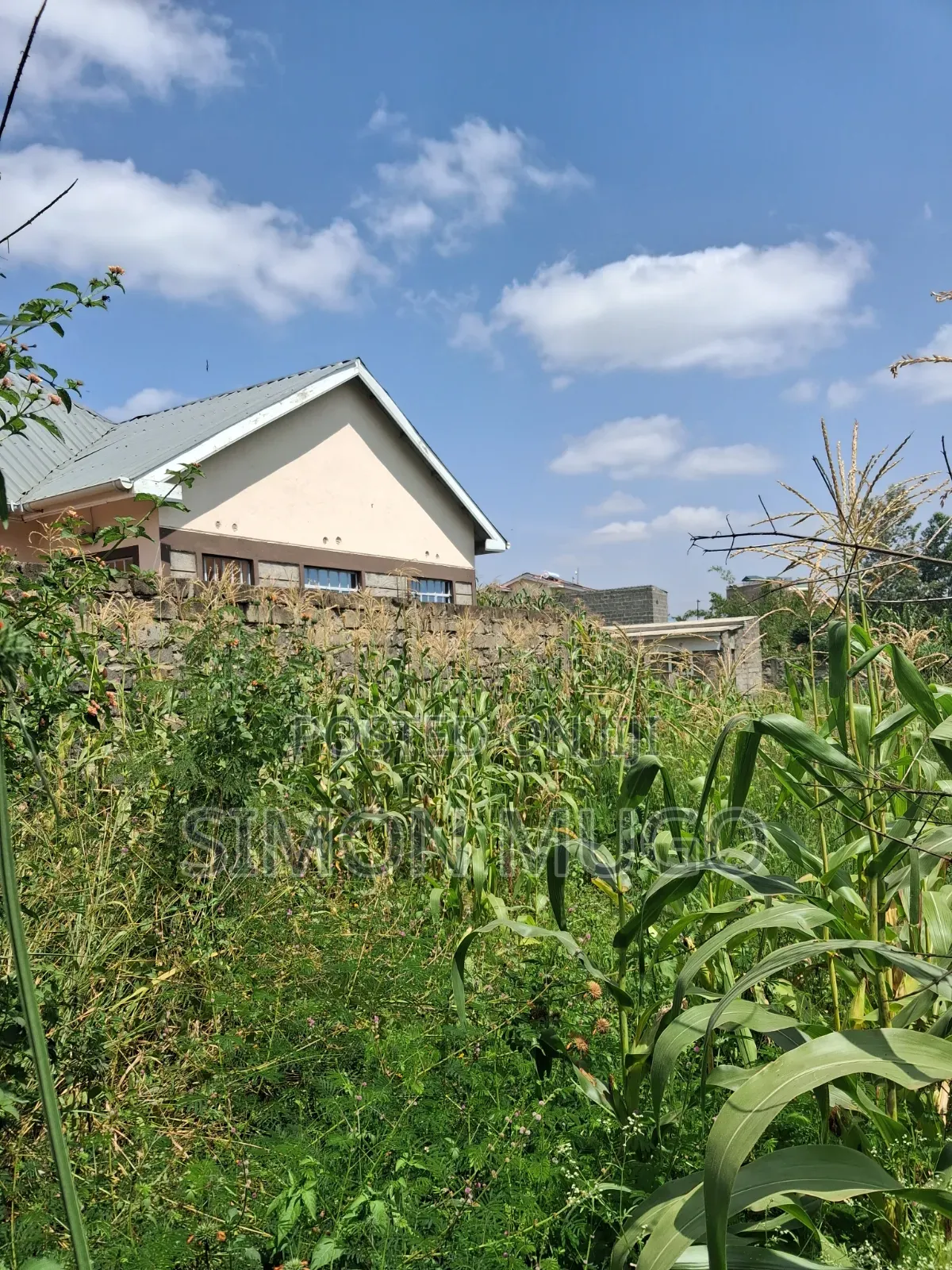 Ruiru Kimbo Matangi Prime 40x60 Ready Title