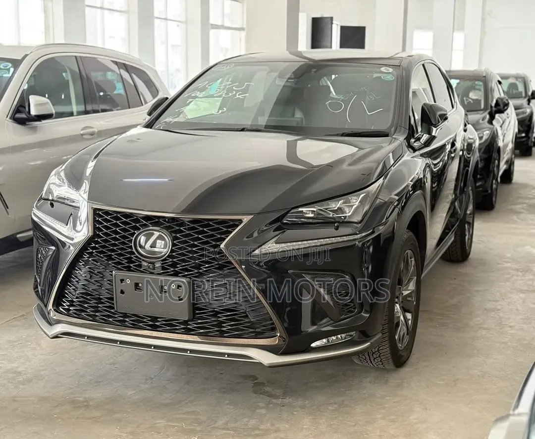 Lexus NX 300 AWD 2020 Matt Black