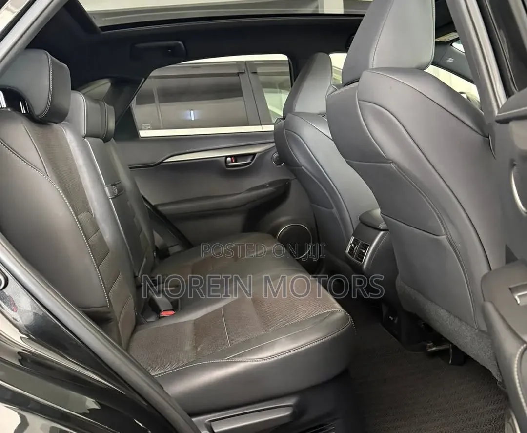 Lexus NX 300 AWD 2020 Matt Black
