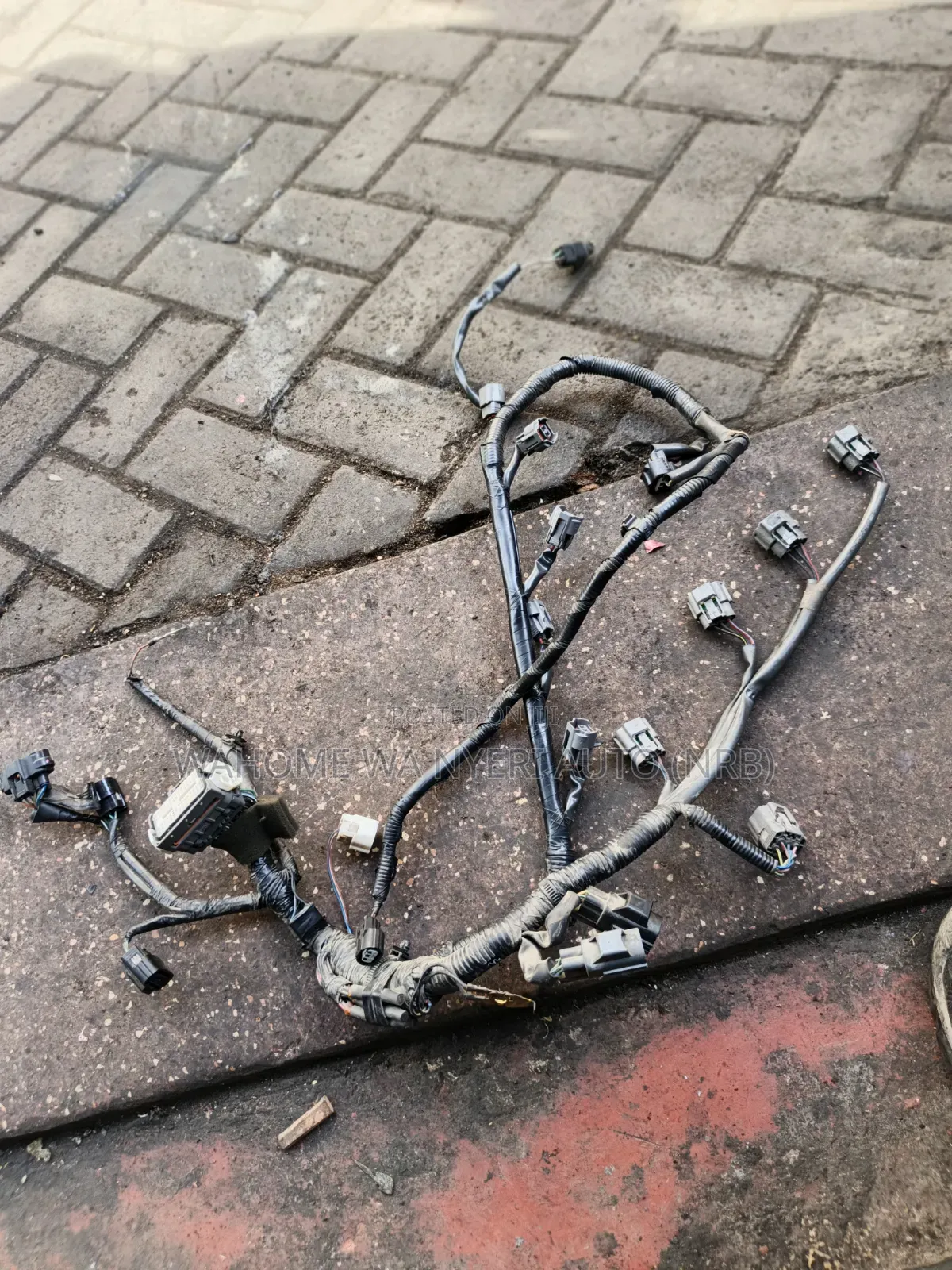 Zj Engine Harness ,Mazda Demio