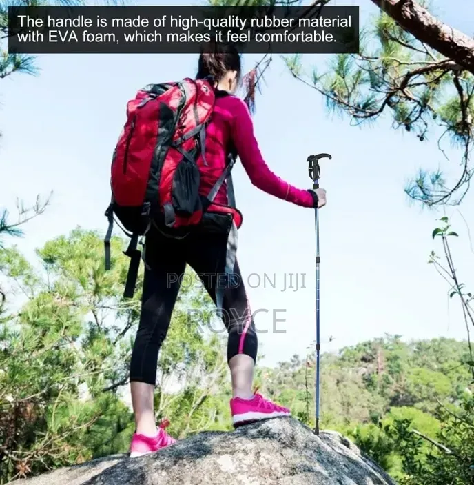Hiking Stick