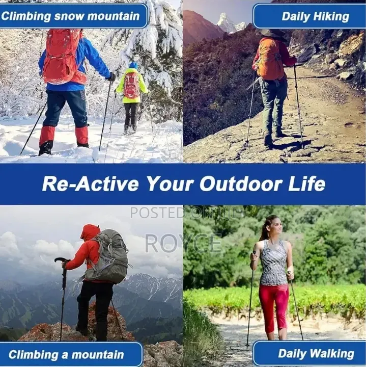 Hiking Stick