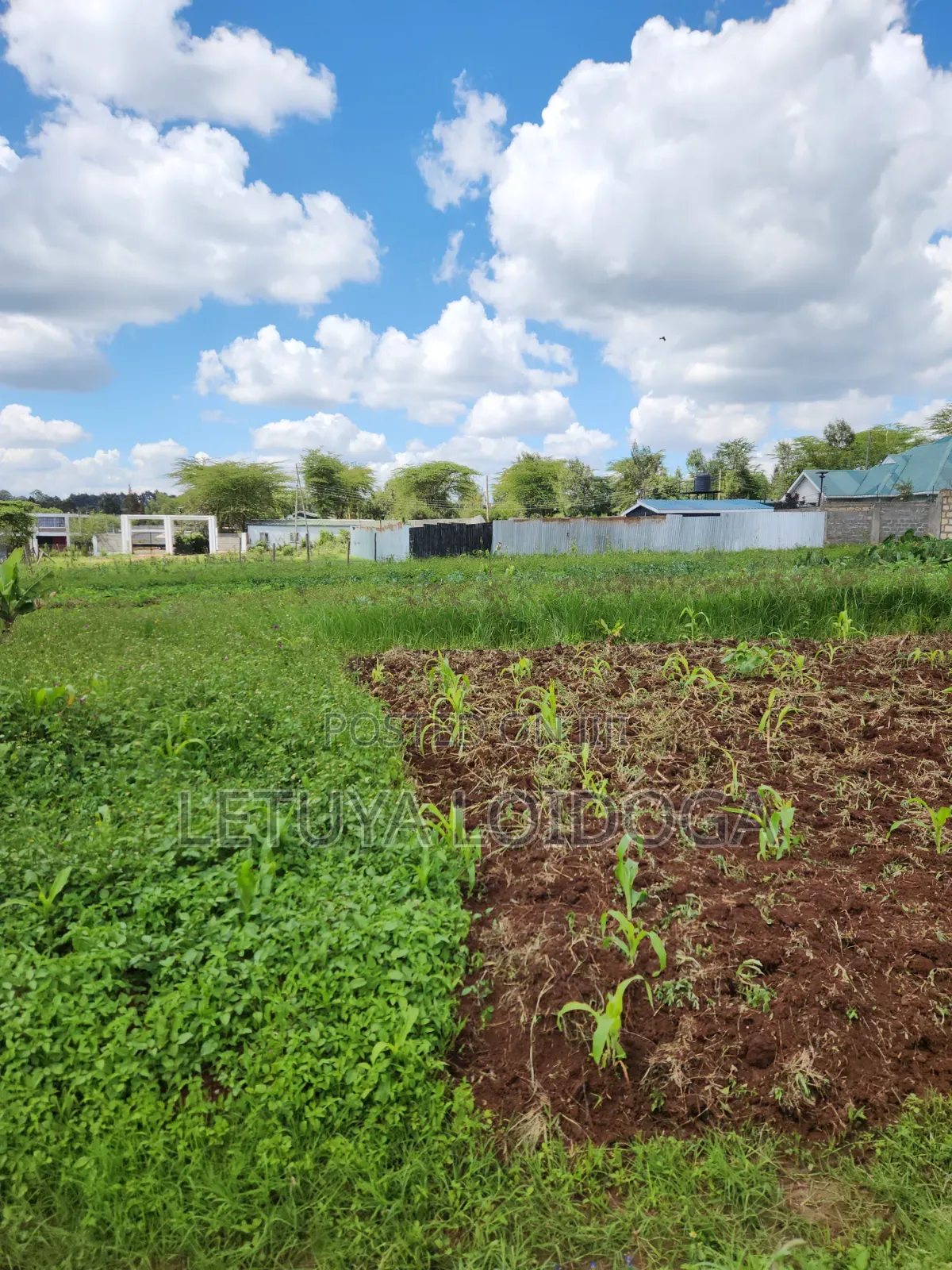 Ngong-Kibiko 3⁄4 Acre Maragara Road