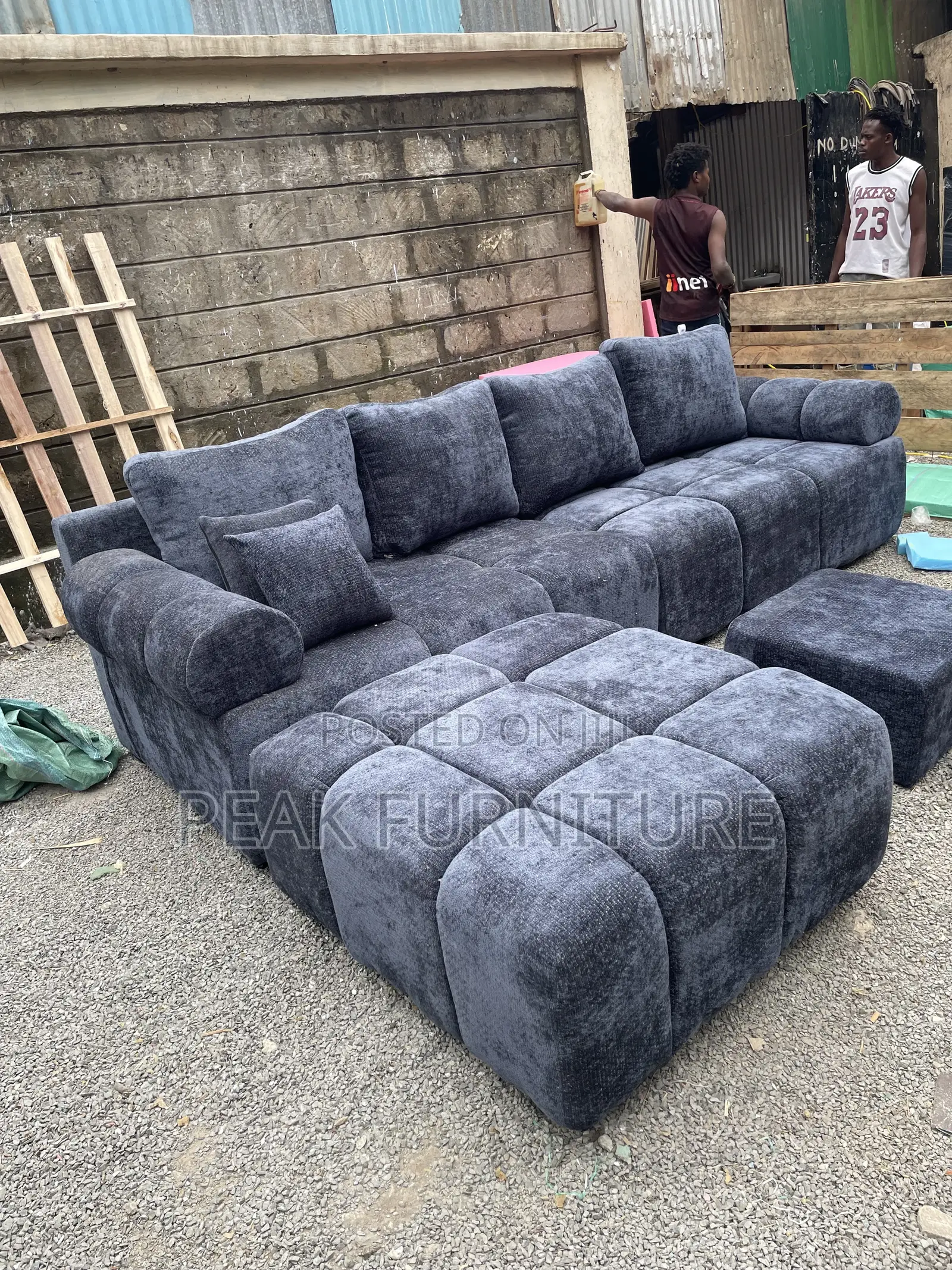 Elegant Living Room Lseat