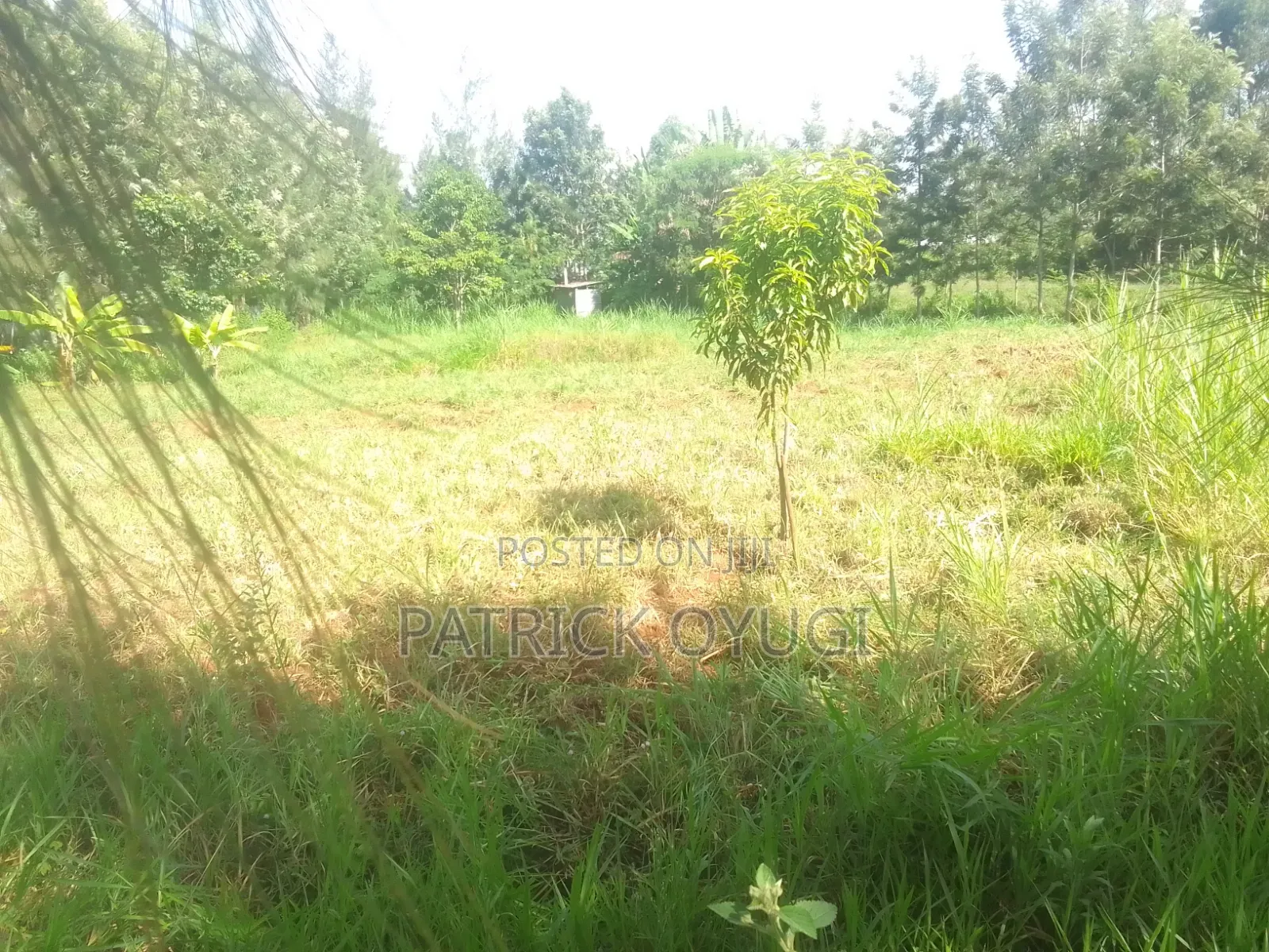 Prime Land for Sale in Kisumu Nyahera