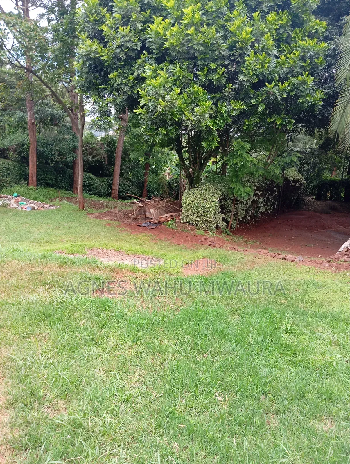 3bdrm Bungalow in Ole Polos for rent