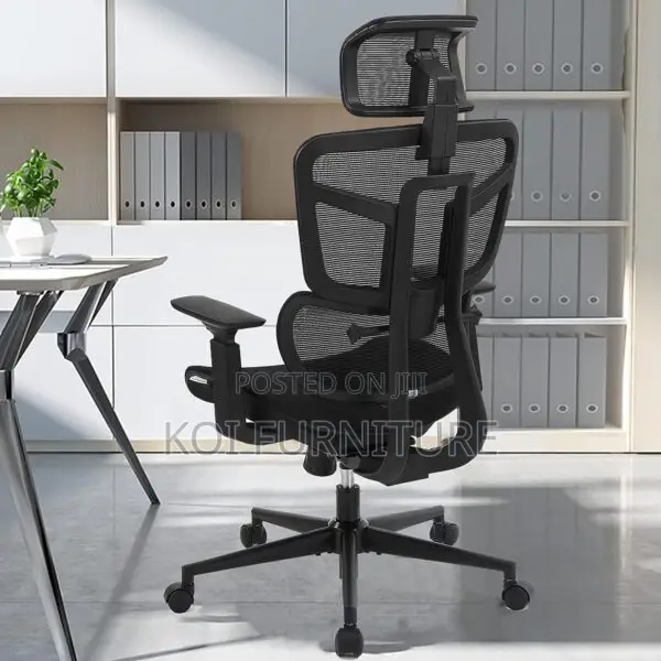 Office Chair : Primy Ergonomic Office Chairs