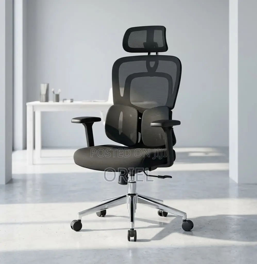 Office Chair : .Executive Lumbar Support Office Chair.