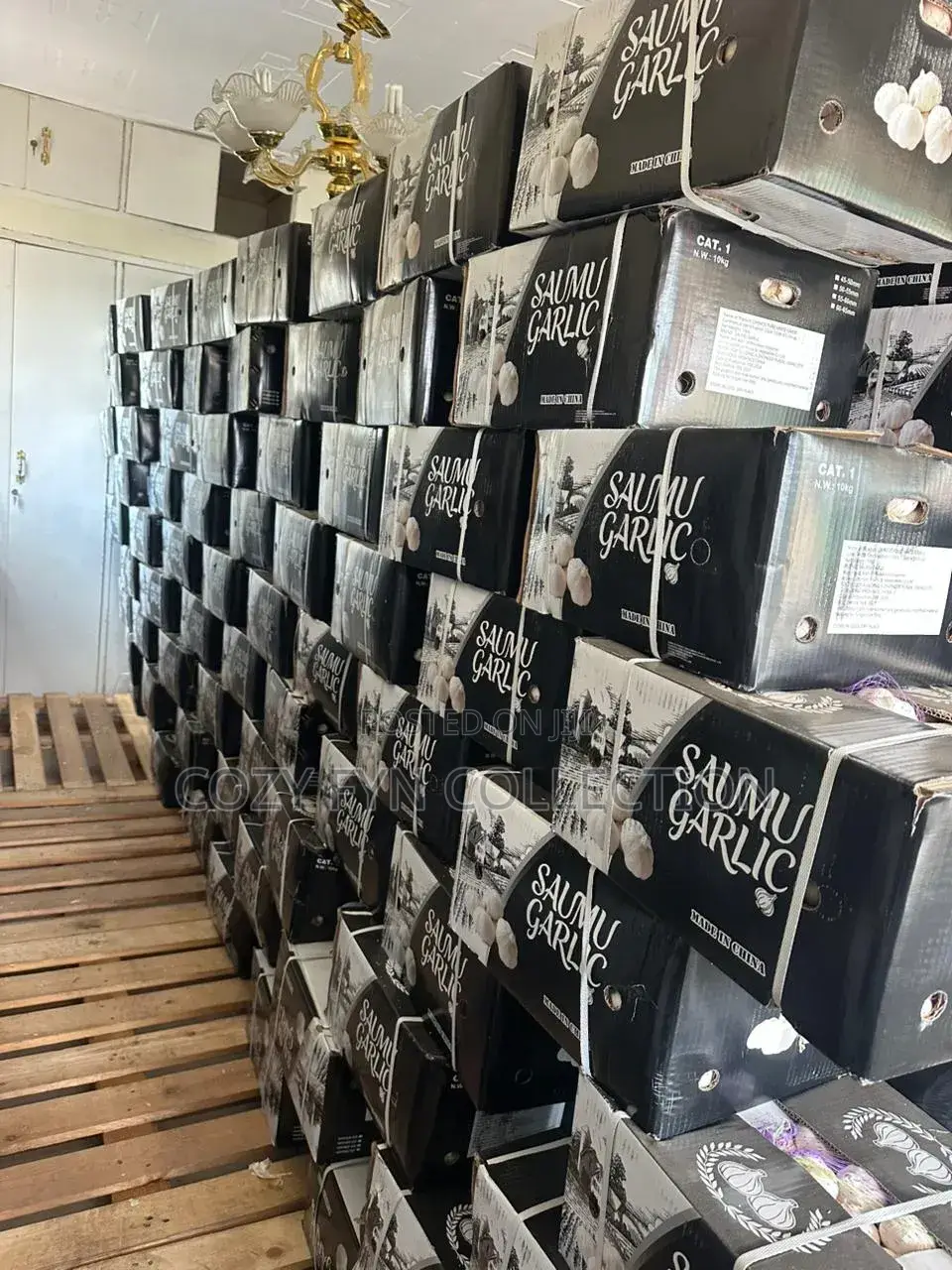 Imported Garlic 10pkg Box