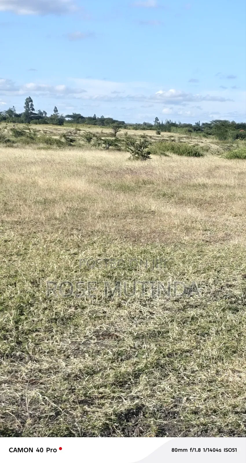 3ares at Koma
