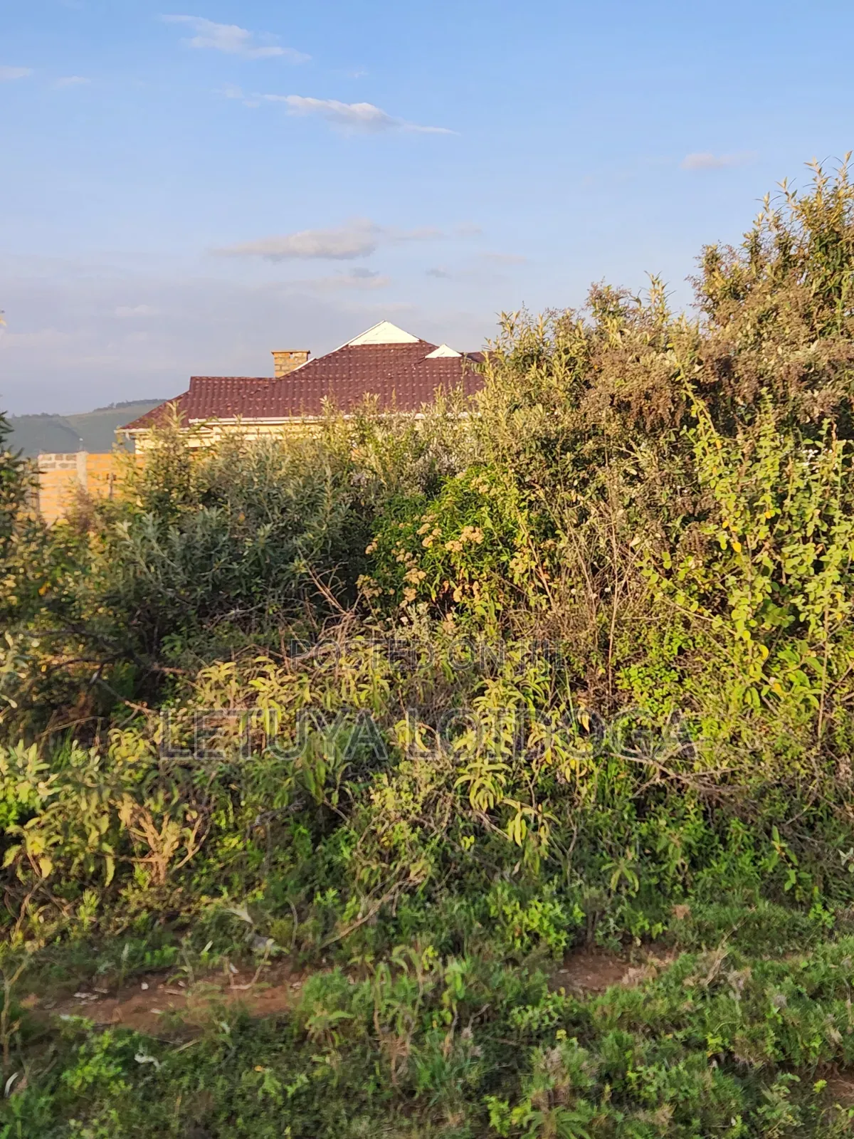 Prime 1 Acre Ngong-Kimuka