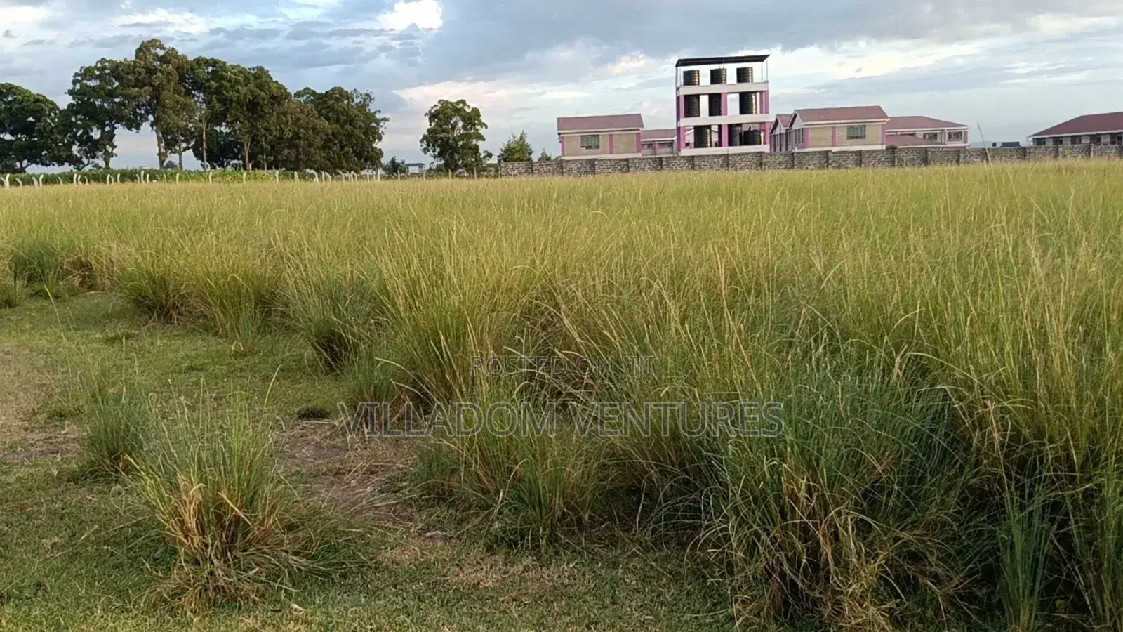 For Quick Sale 1l4 Acre Plots in Royal Estate Barnabas