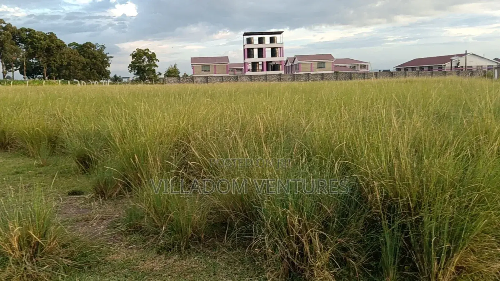 For Quick Sale 1l4 Acre Plots in Royal Estate Barnabas