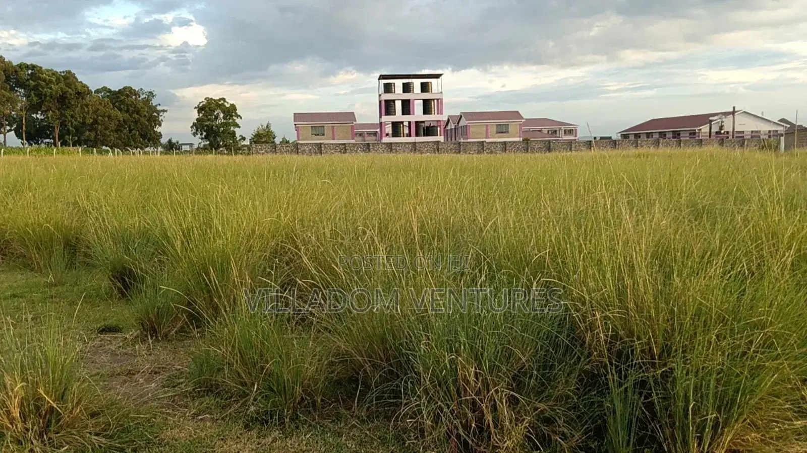 For Quick Sale 1l4 Acre Plots in Royal Estate Barnabas
