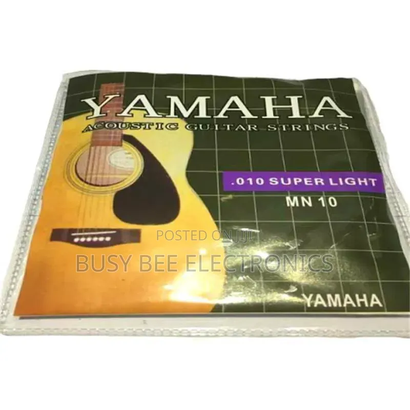 Professional Electric Acoustic Classic Guitar String 010