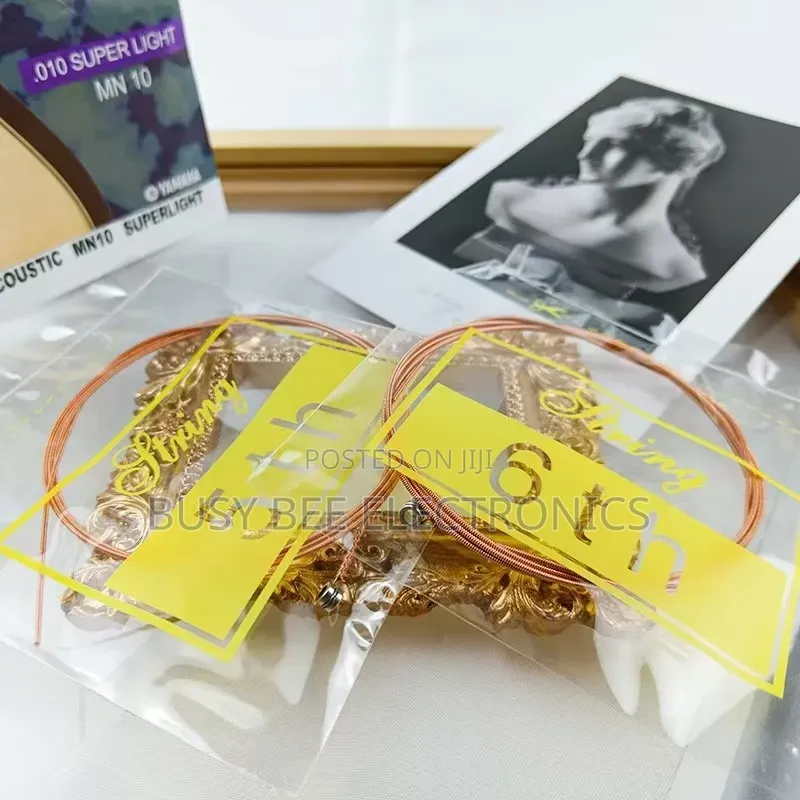 Professional Electric Acoustic Classic Guitar String 010