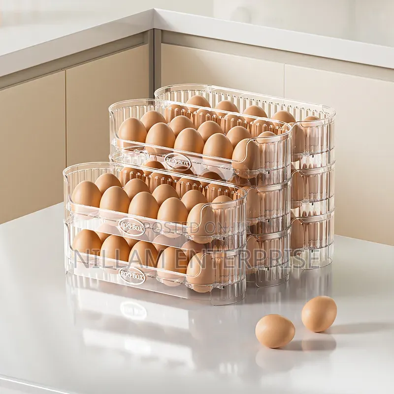 Stackable Egg Storage Box 2 Layer 20pcs
