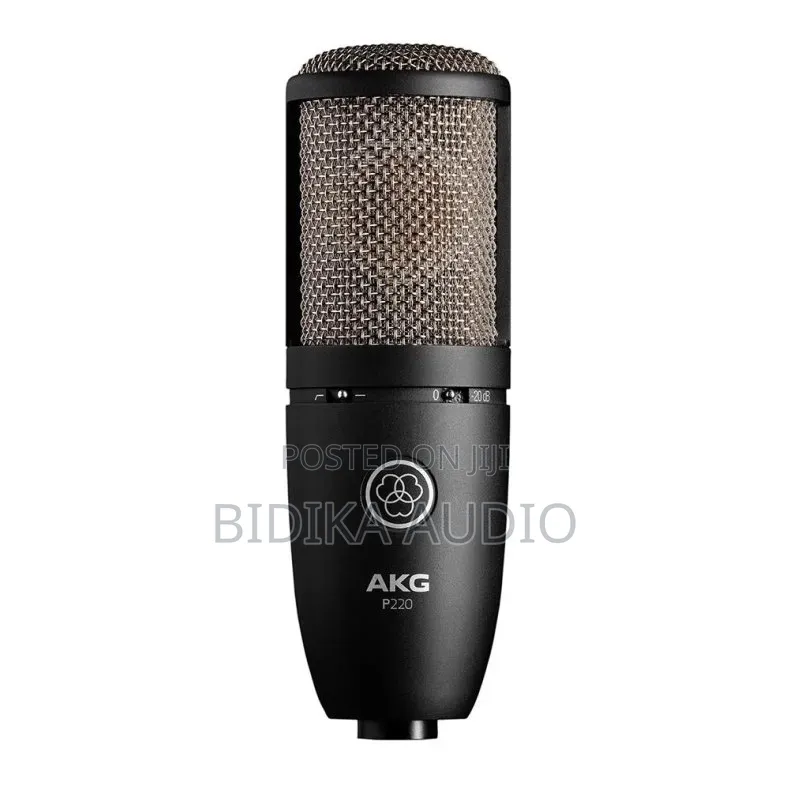 Akg P220 High-Performance Large Diaphragm True Condenser Microphone