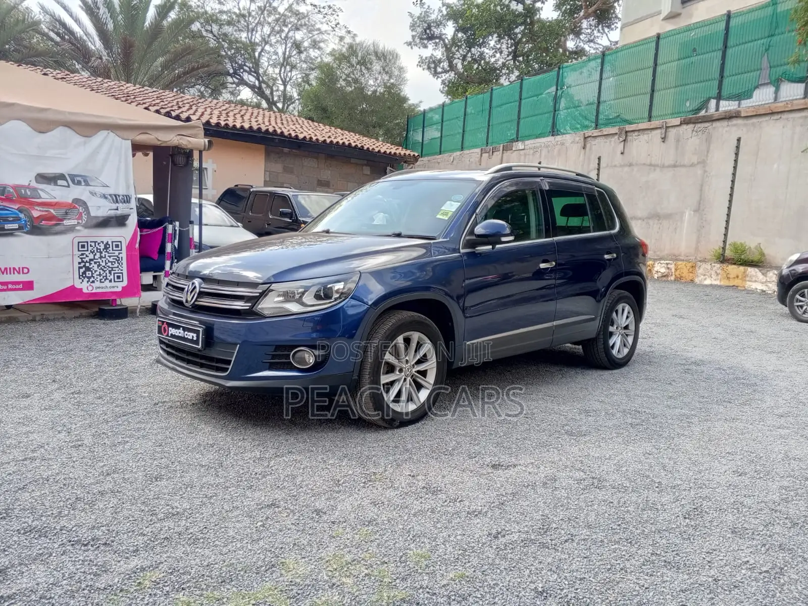 Volkswagen Tiguan 2012 Blue