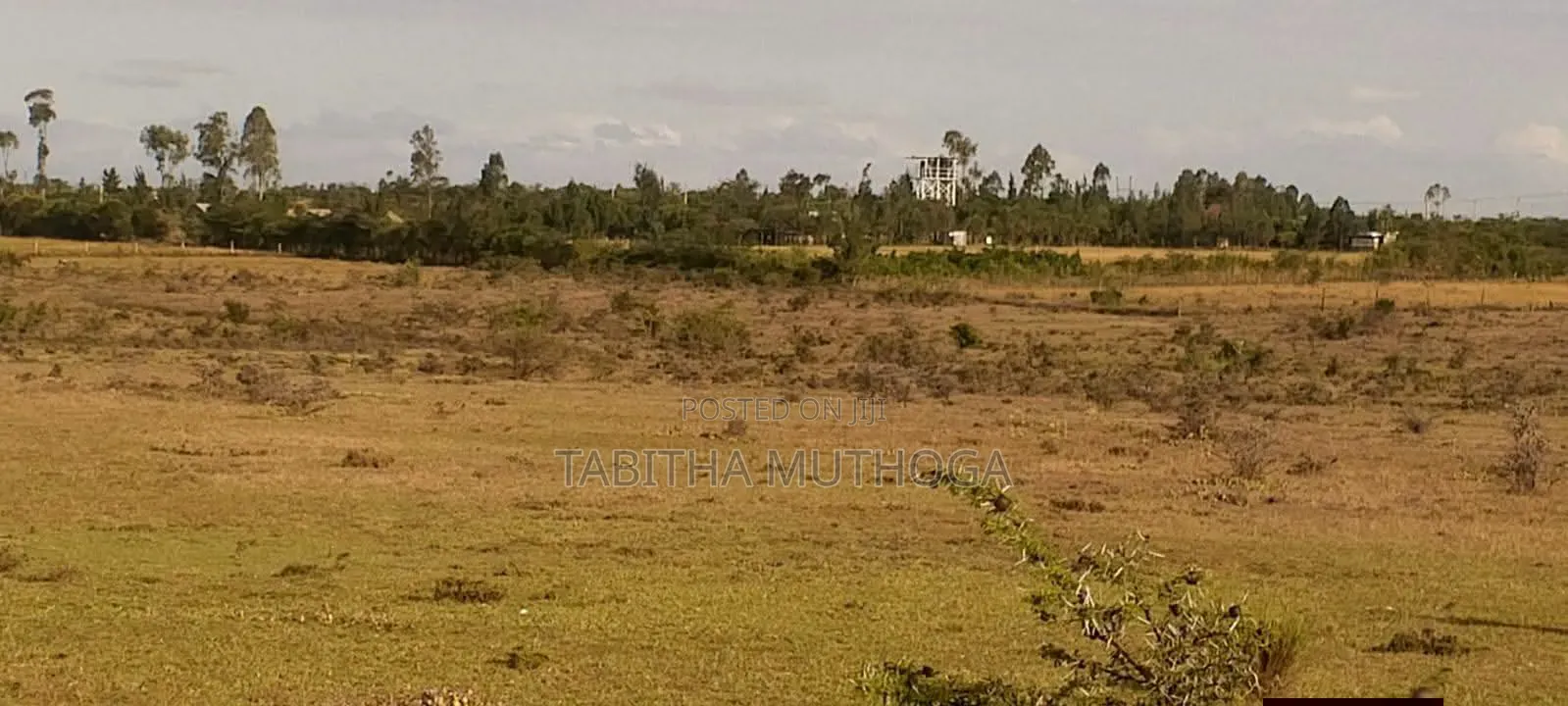 1/8 of an Acre Nanyuki