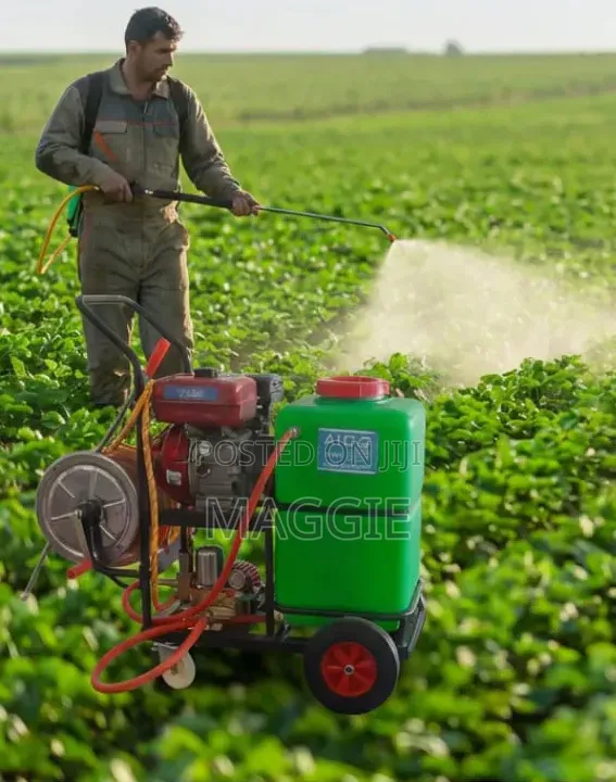 60litres Agricultural Sprayer Machine