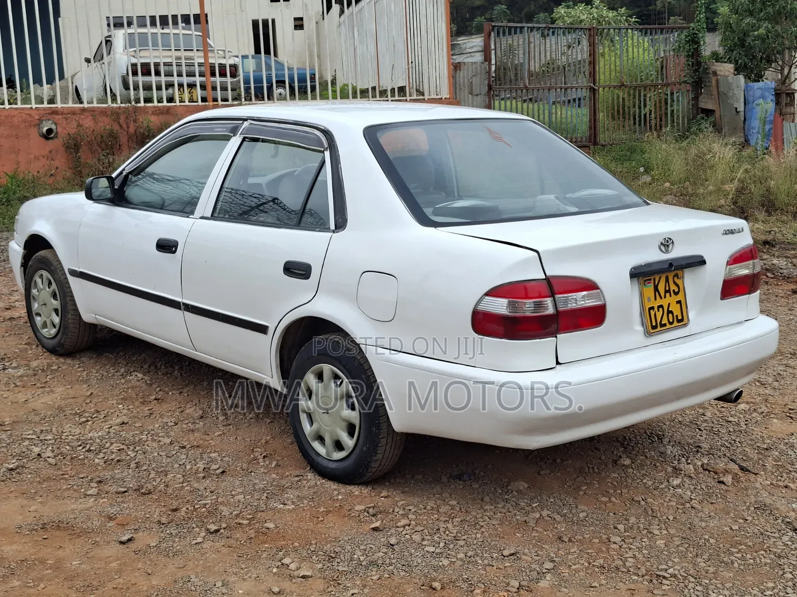 Toyota Corolla 1999 White