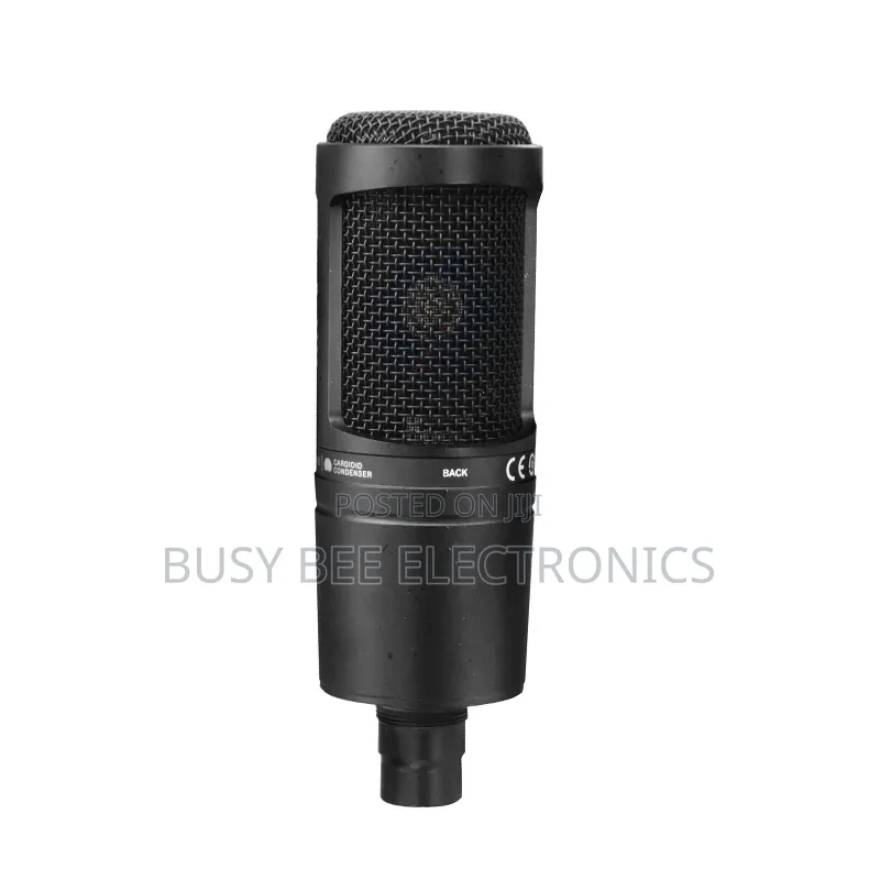 At2020 Professional Microphone With Studio Sound Quality