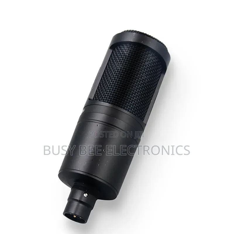 At2020 Professional Microphone With Studio Sound Quality